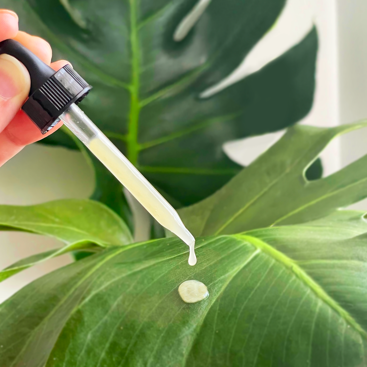VitC+ Facial Serum